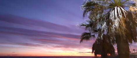 Plage à proximité, chaises longues, serviettes de plage