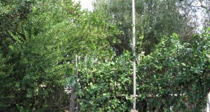 Duplex house with garden