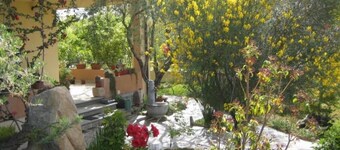 Duplex house with garden