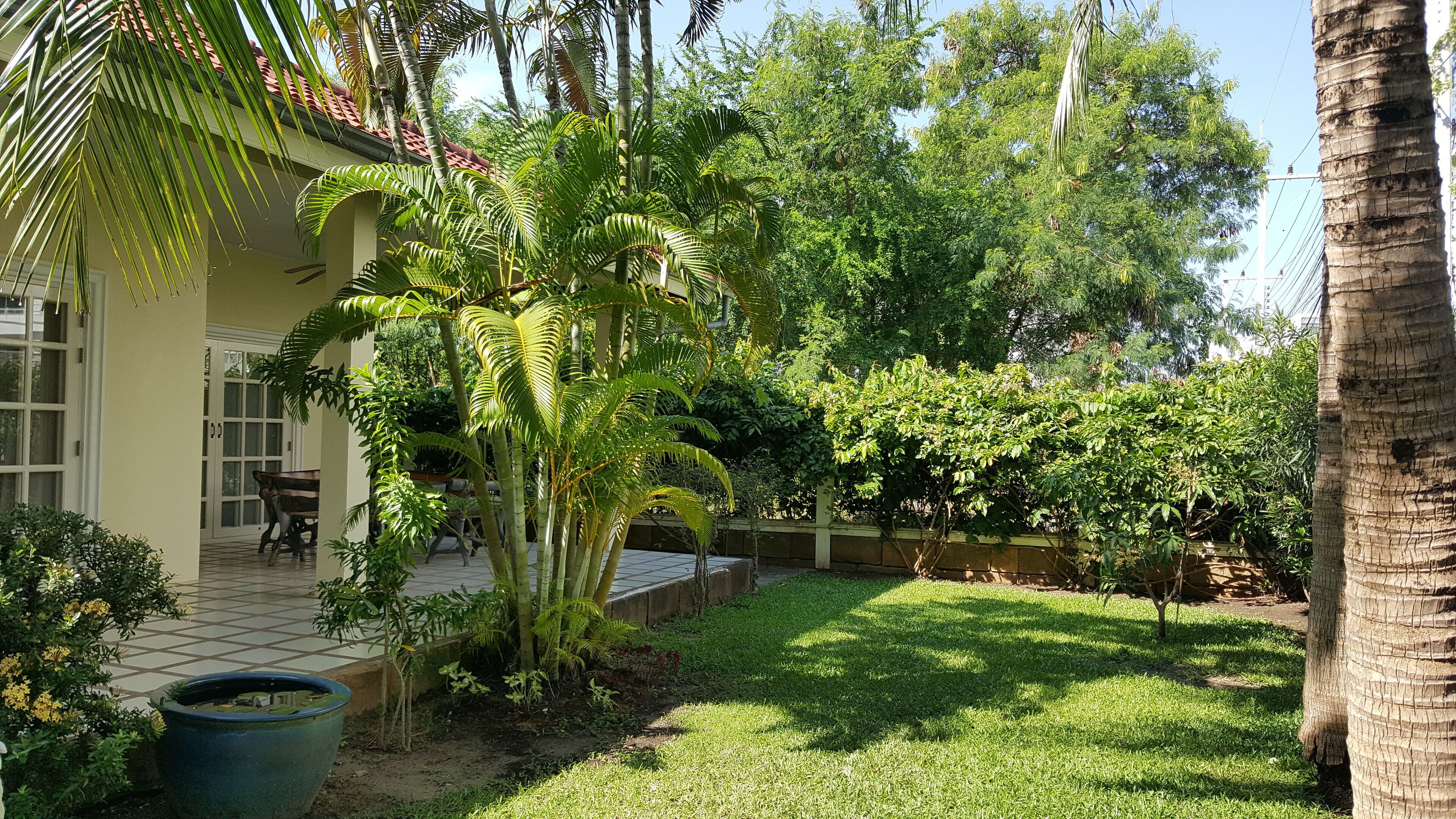 A courtyard with a tiled patio, palm trees, and a grassy area.