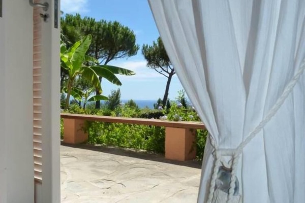 Terrasse / Balkon