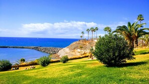 A coastal landscape with a grassy area, palm trees, and a rocky cliff overlooking the sea. - SPACIOUS APARTMENT WITH WIFI—large terrace and flower-filled garden, sea and mountain views (Adeje)