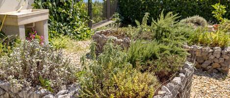 A garden with various plants and a stone wall.