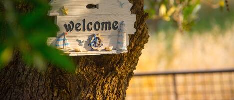 DĂ©tail de lâextĂ©rieur