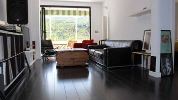 Televisión, reproductor de DVD, libros y estéreo