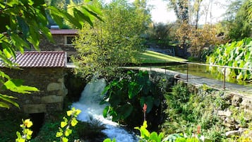 Área da propriedade