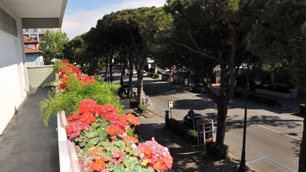 Un balcón con una hilera de flores coloridas, un estacionamiento con coches y una fila de árboles.