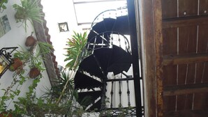 Una escalera con barandilla de metal, rodeada de plantas en macetas y una puerta de madera.