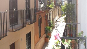 Un callejón estrecho flanqueado por edificios, con balcones de barandillas negras y macetas con plantas.