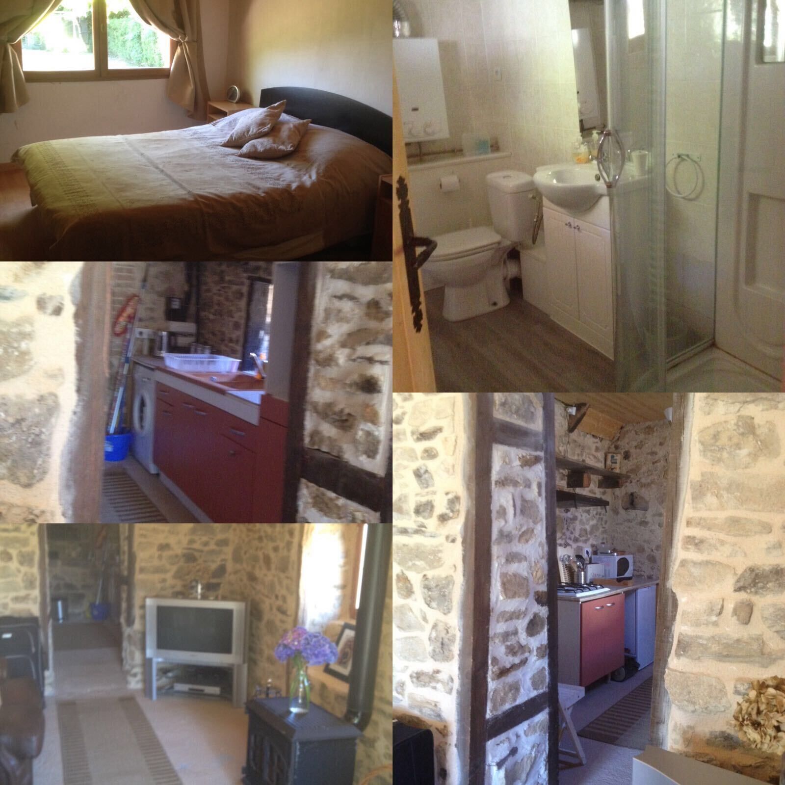 piglets porcherie rustic gite