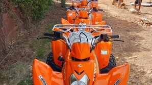 Una fila de vehículos todoterreno naranja estacionados en un camino de tierra.