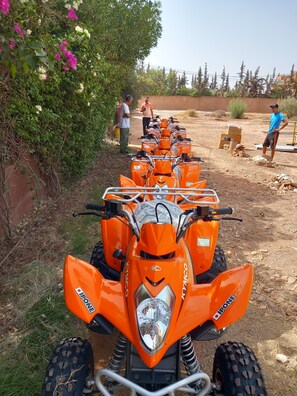 Property grounds - Riad Sidi Hicham Villa (Marrakech)