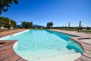 Pool - Big estate with private pool, large garden 20km from Todi & 34 from Spoleto. (Montecastrilli)