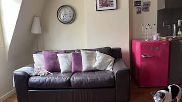 TV, fireplace, DVD player, books