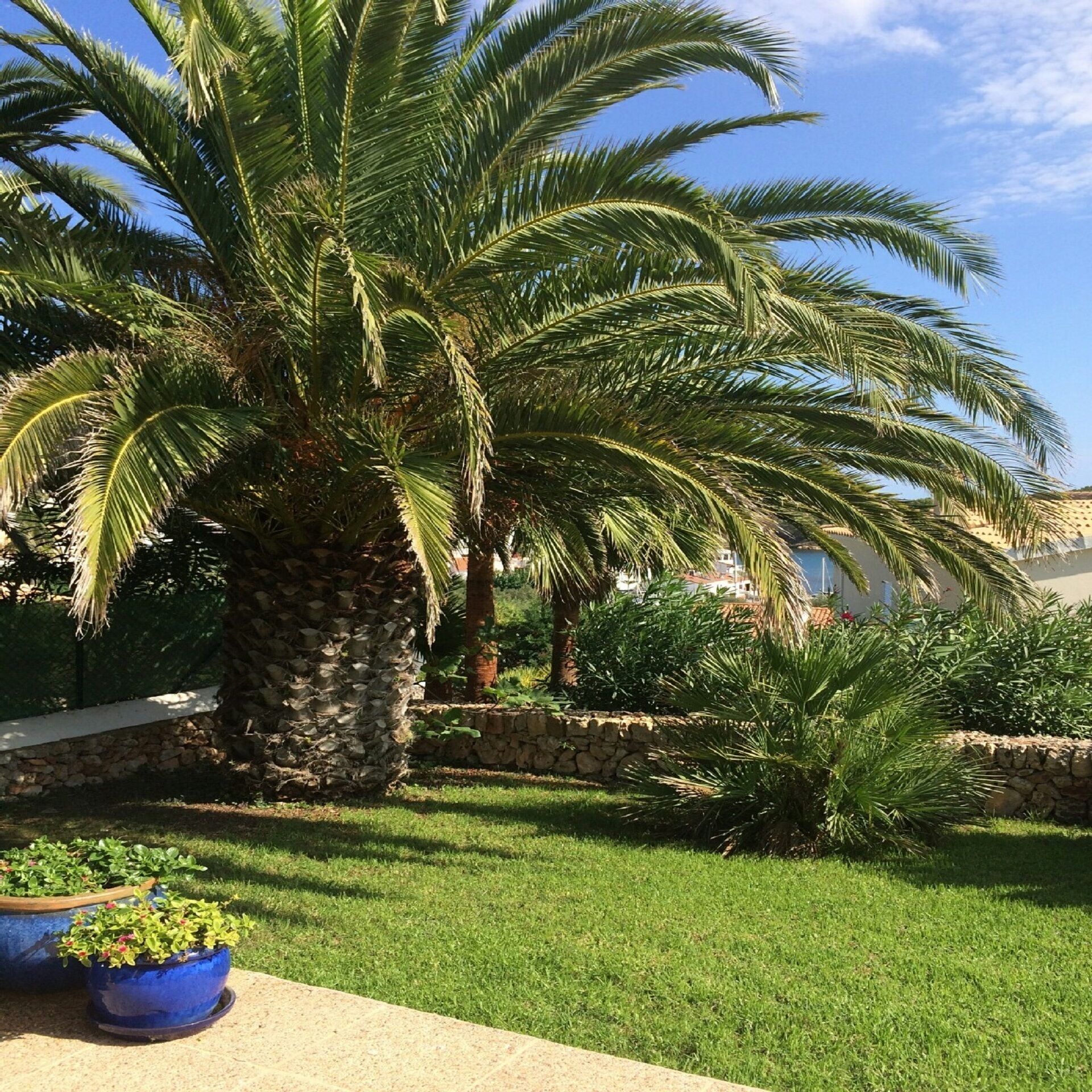 Garden area