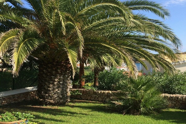 Garden area