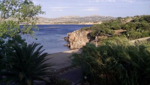Un paysage côtier caractérisé par une côte rocheuse, une végétation luxuriante et une vue dégagée sur la mer.