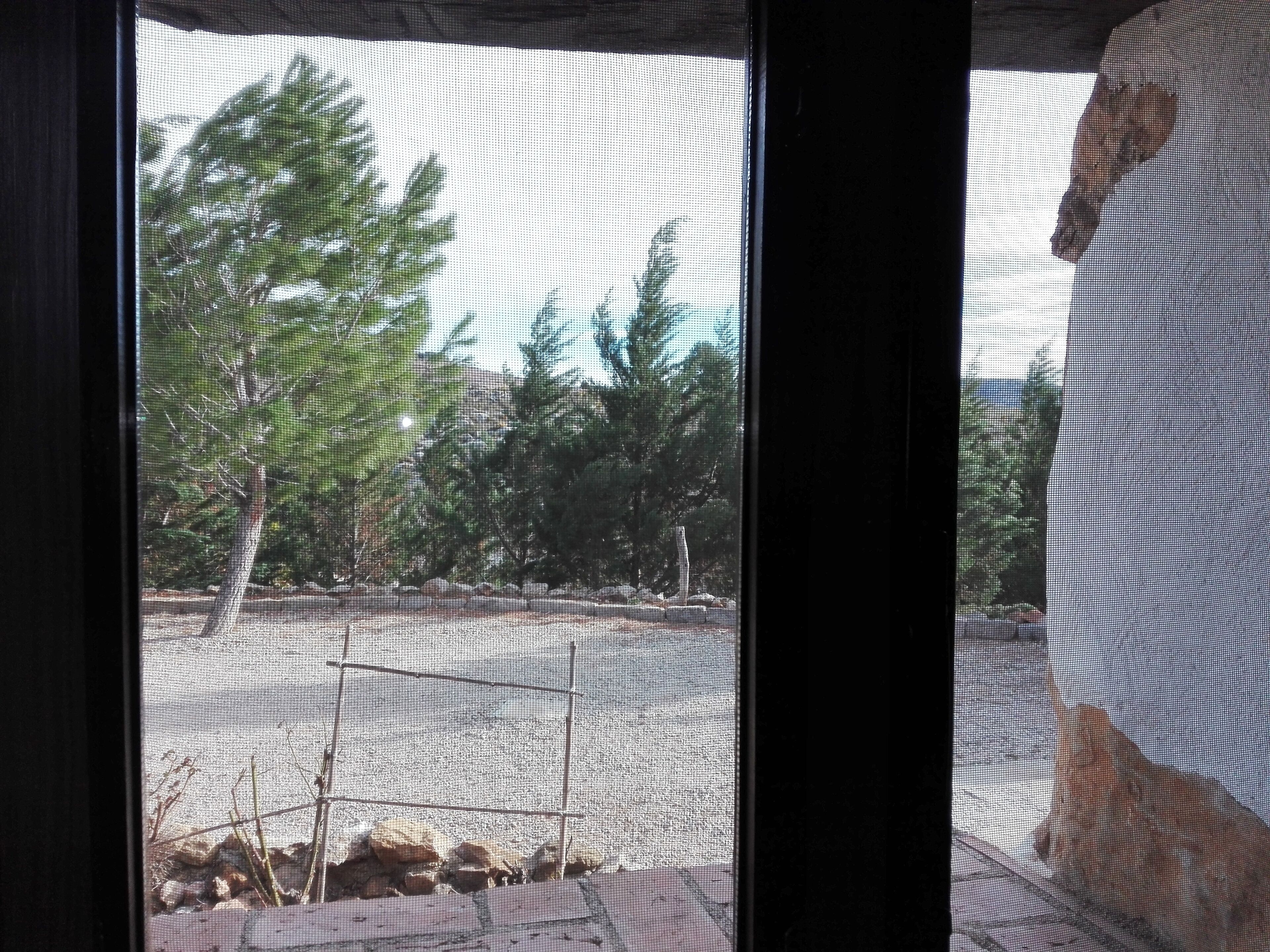A view through a window with a metal screen, featuring a stone pathway, a metal fence, and trees in the background.