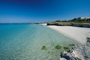 Serviettes de plage