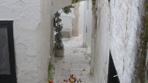 Un estrecho callejón con paredes blancas, una planta en maceta y una ventana con marco negro.