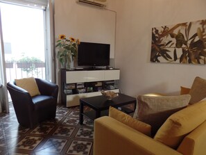 TV, DVD player, books, video library