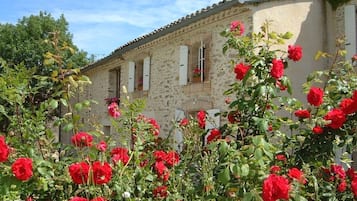 Extérieur