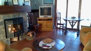 Een televisie, een open haard, boeken en een stereo