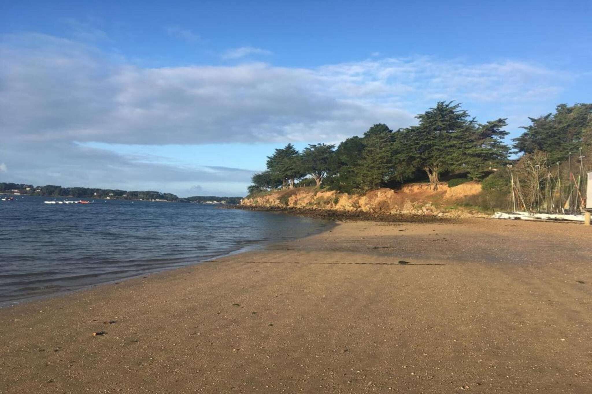 A beach with a sandy shore, trees, and a calm sea.