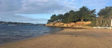 A beach with a sandy shore, trees, and a calm sea.