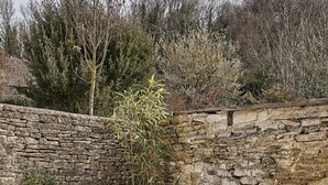 A hot tub with steps, set against a stone wall and surrounded by trees. - Cotswolds home in Castle Combe (optional Hot Tub) (Castle Combe)