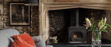 تلفزيون ذكي، مدفأة، كُتُب، شاشة كمبيوتر