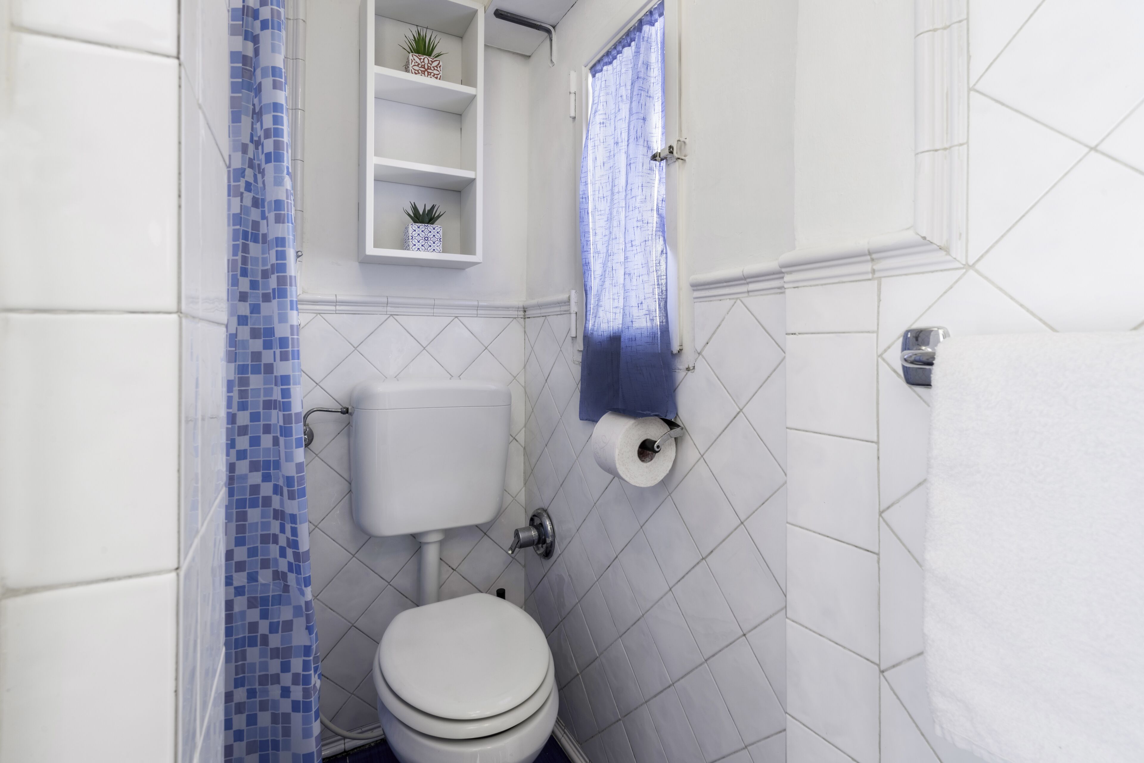 Casa de banho com sanita, uma prateleira com uma planta em vaso e cortina de chuveiro.