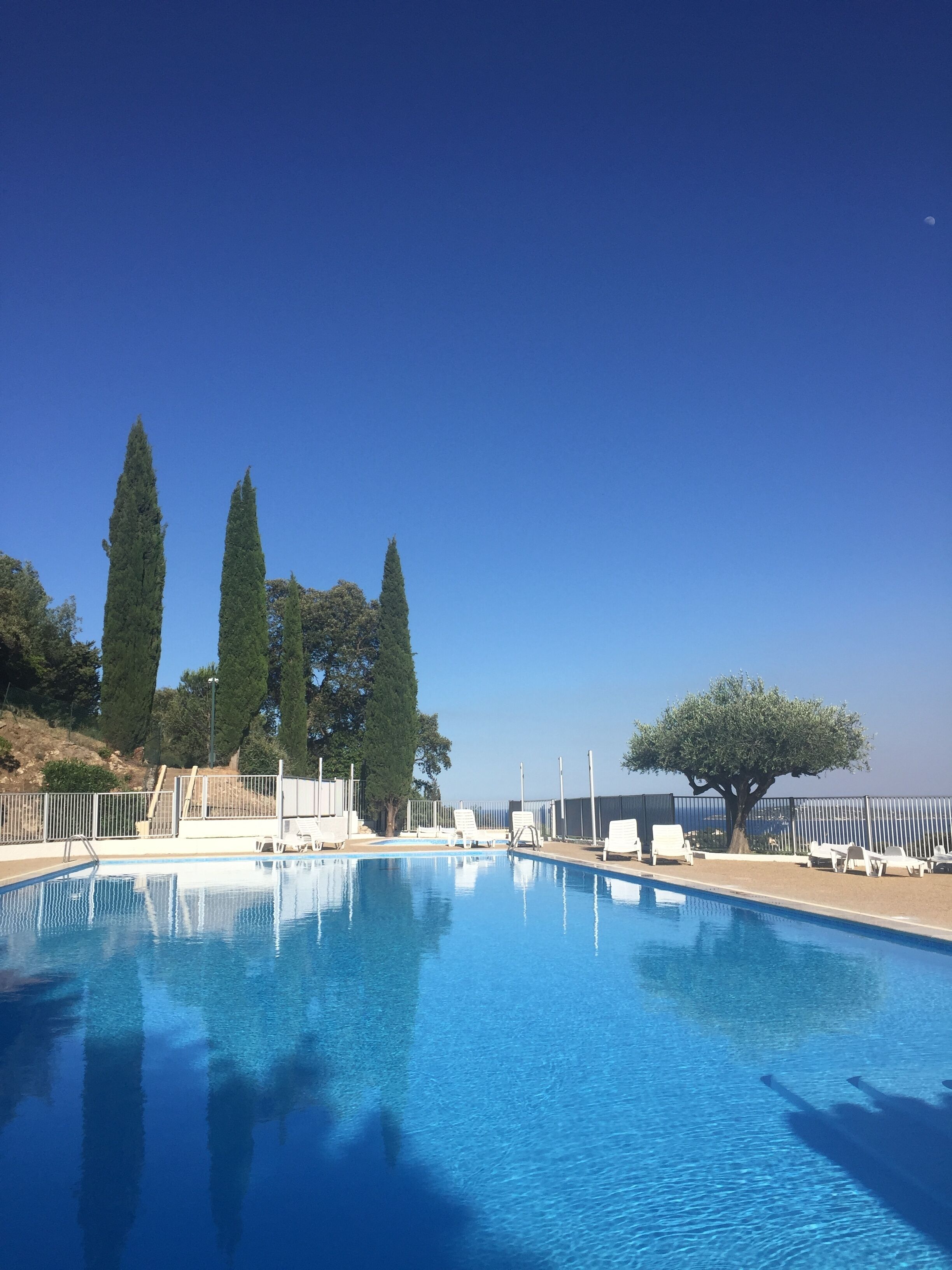 Un cielo azul despejado, una piscina con tumbonas y altos árboles.