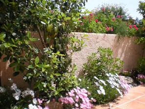 A garden with various plants and flowers, a stone wall, and a tiled pathway.