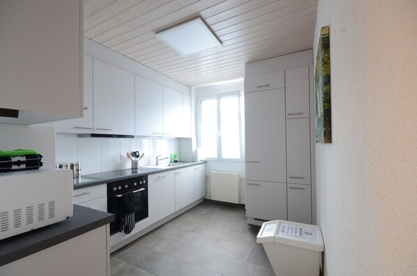 Fridge, microwave, oven, stovetop - Great ground floor apartment.  Air-conditioning.  3 min train station (Interlaken)