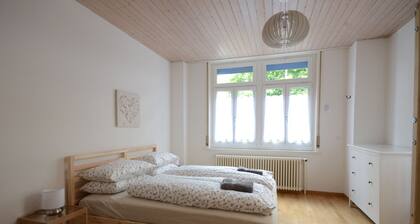 Great ground floor apartment. Air-conditioning. 3 min train station