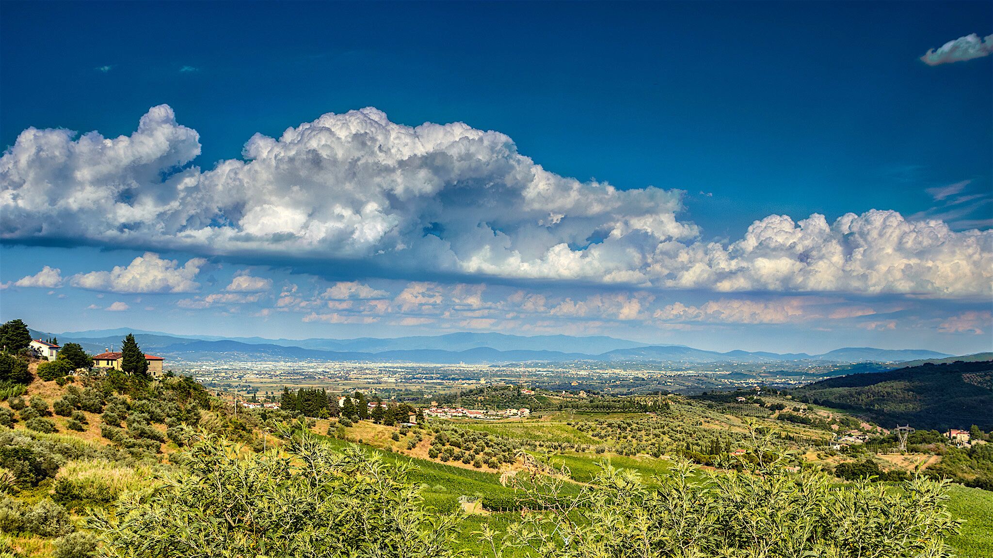 A panoramic view of a landscape with rolling hills, vineyards, and a distant cityscape under a partly cloudy sky.
