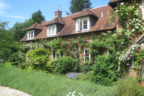 Front of house in Summer