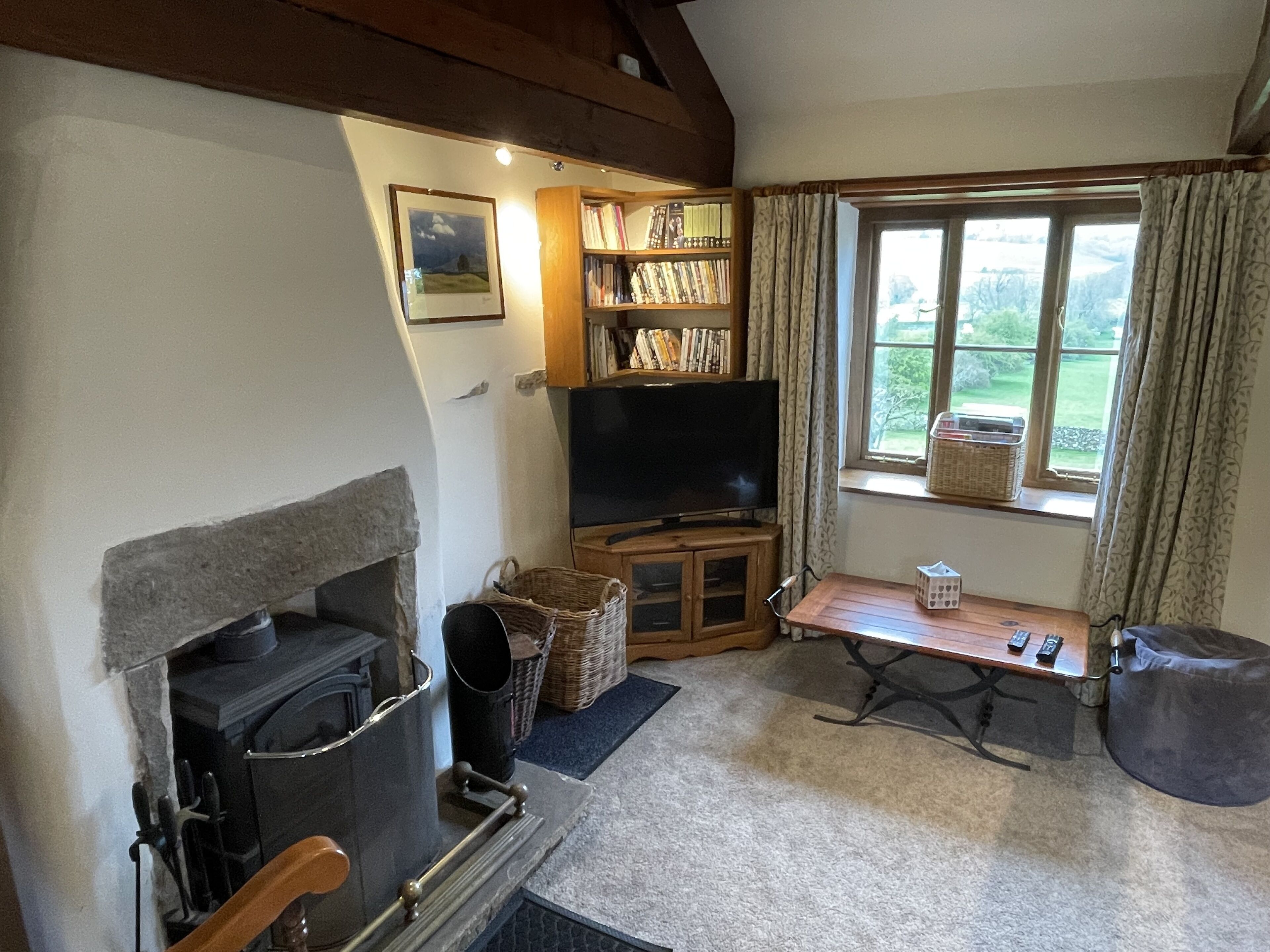 智能电视、壁炉、DVD 播放器、书