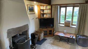 Smart TV, fireplace, DVD player, books