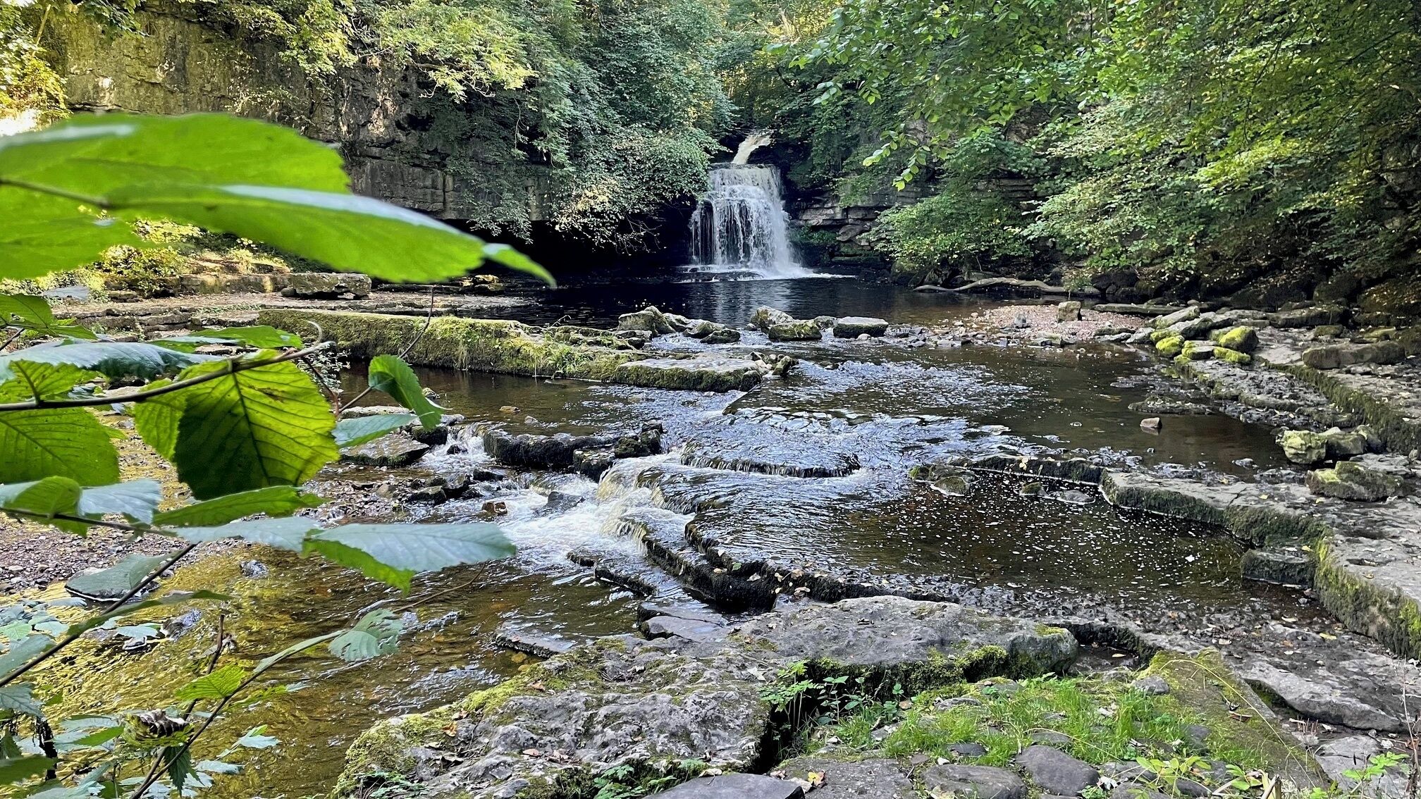 A natural waterfall in a forested area with rocky terrain and moss-covered rocks.