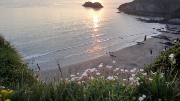 Beach - Boutique coastal retreat In Lovely Hamlet Near Amazing Beaches and St Davids (Saint David's)