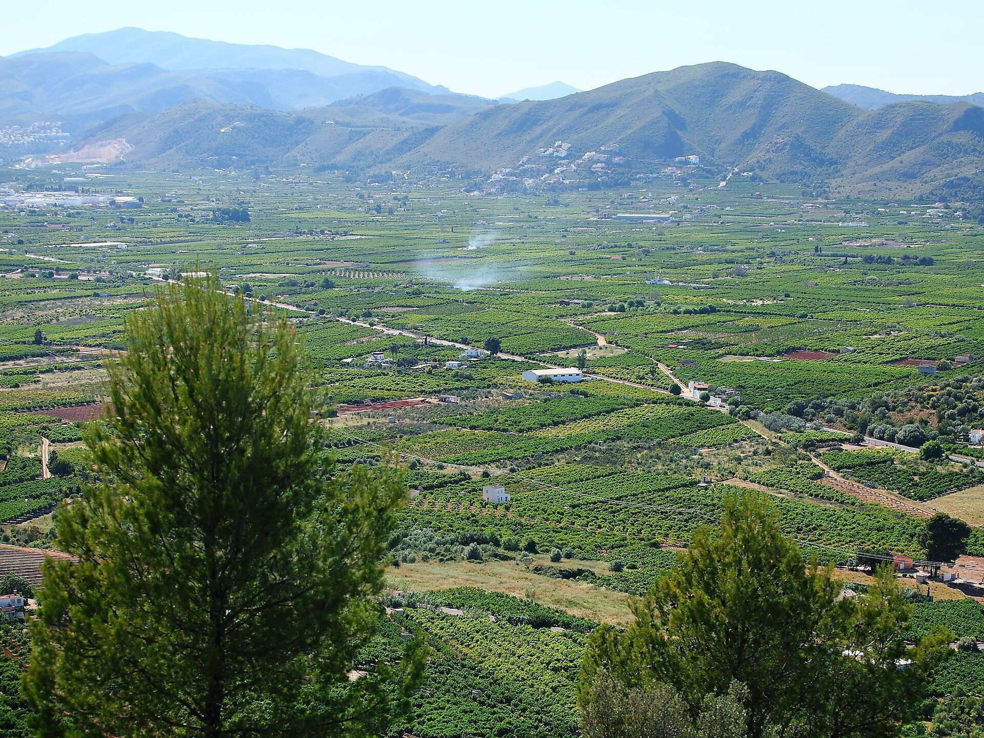 Un vignoble avec des rangées de vignes et des bâtiments situés au milieu de collines ondoyantes.