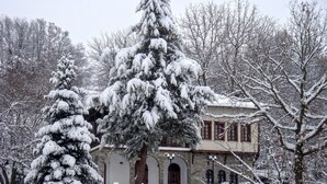 A snow-covered building with a stone facade, arched windows, and a large tree in front. - Zenios Dionysos - Traditional villa overlooking Pindos (Grevena)
