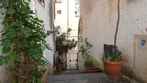 A narrow alleyway with potted plants and a metal gate.