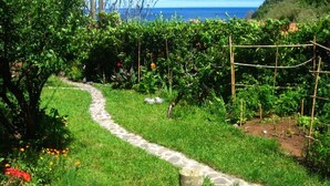 Um jardim com caminho de pedra, pérgola de madeira e vista para o mar.