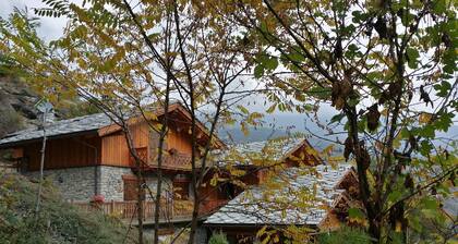 Chalet mit Blick jeden Komfort mit dem Park zu genießen und das Medium und High Valley
