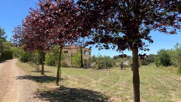 Terrein van de accommodatie