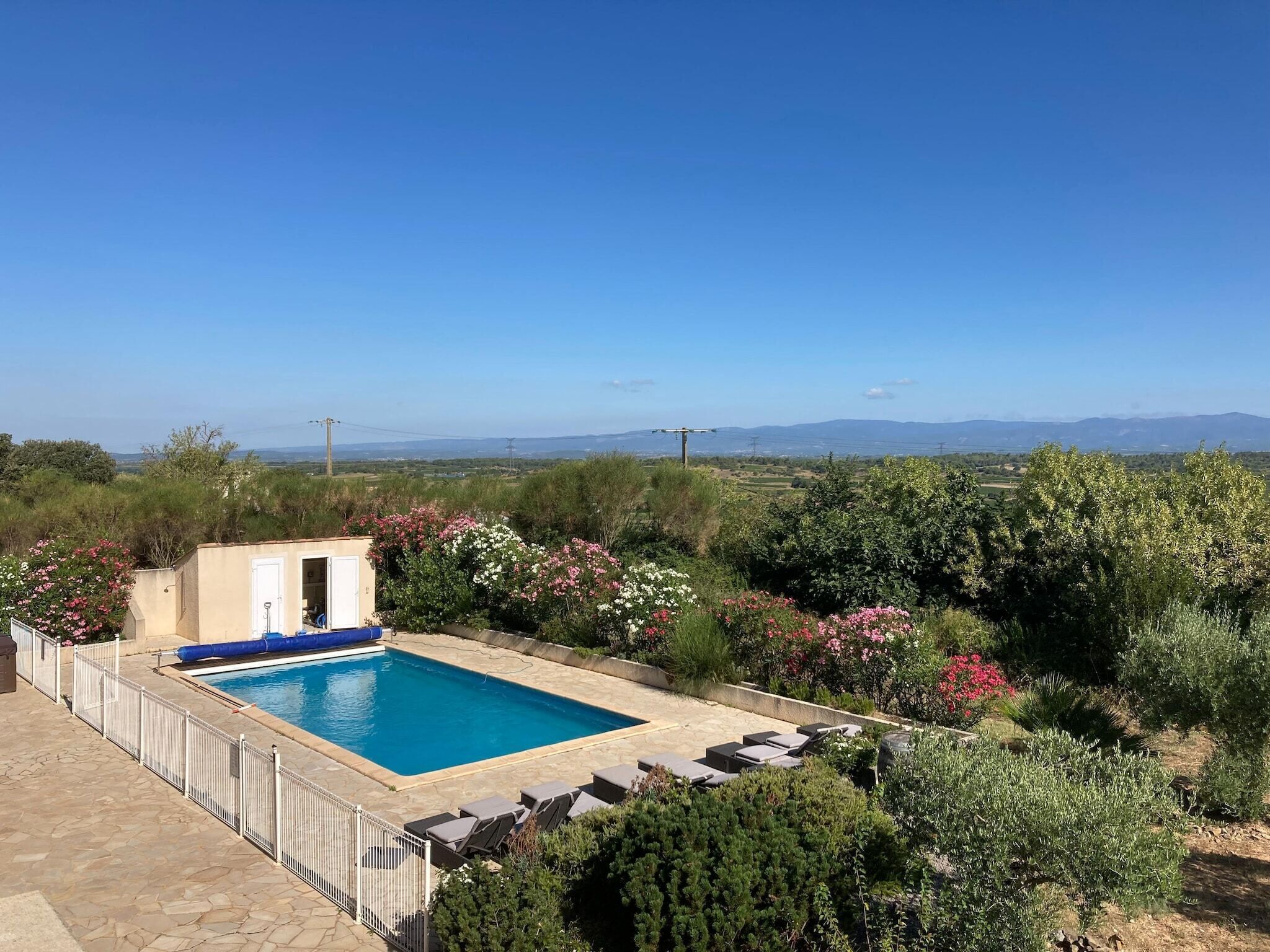 Piscina rectangular con valla blanca y sillones de descanso, rodeada de exuberante vegetación y plantas en flor.
