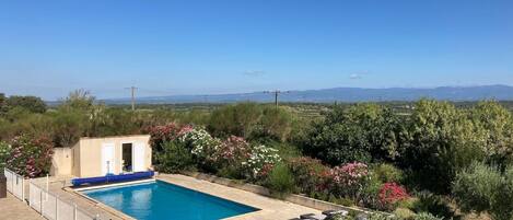 Piscina rectangular con valla blanca y sillones de descanso, rodeada de exuberante vegetación y plantas en flor.